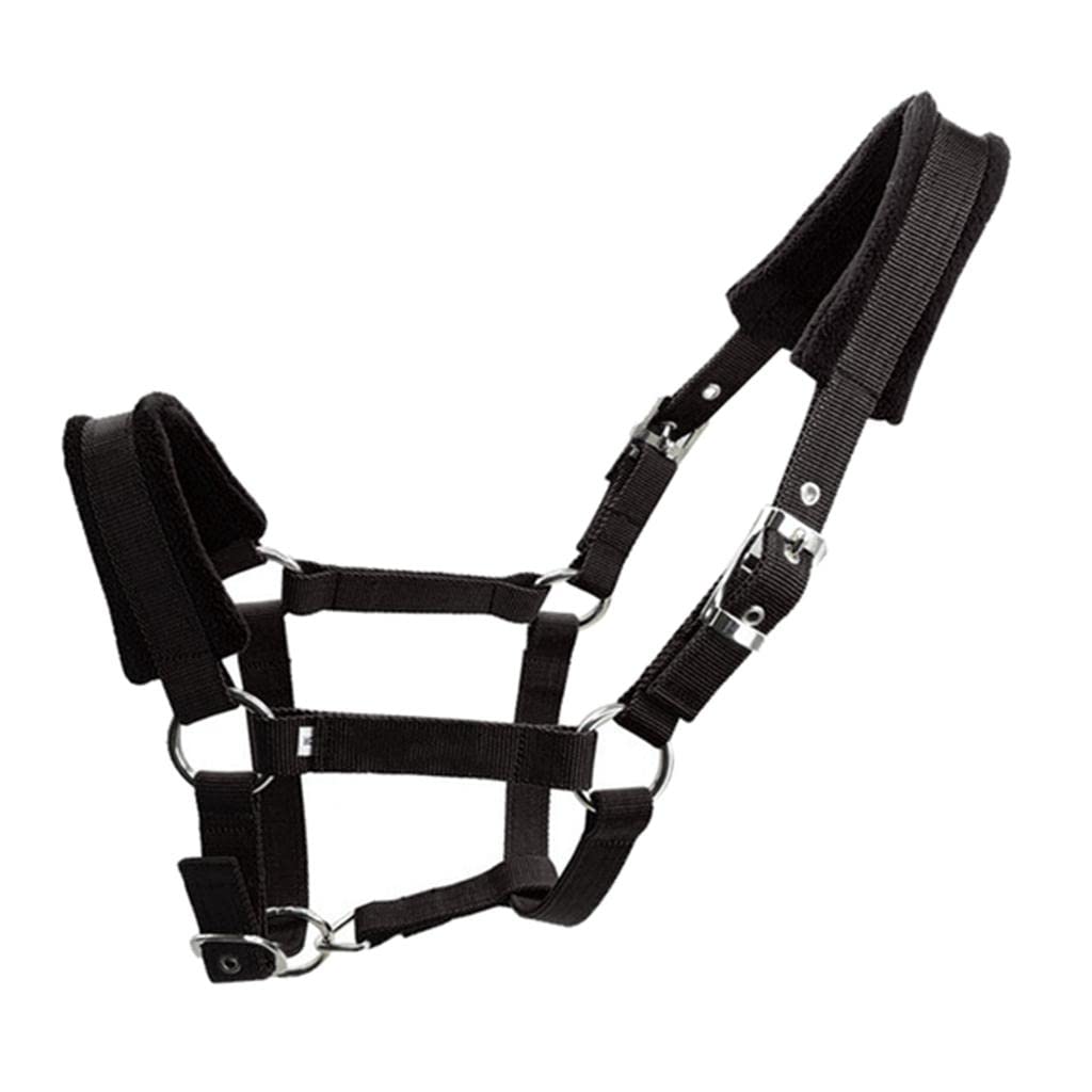 Qianly Cabezada de Gruesa para Caballo COB