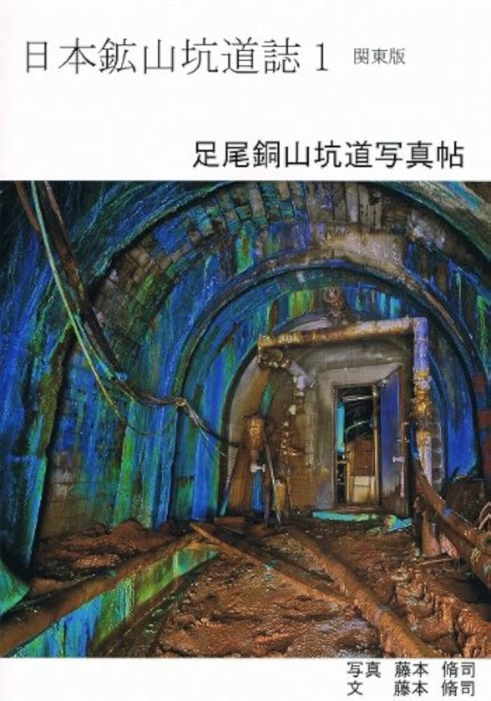 藤本　能道　銅版画　こぶし尾長 楽天市場】【ふるさと納税】模擬刀 鵜首造り 小刀拵 鯰尾藤四郎