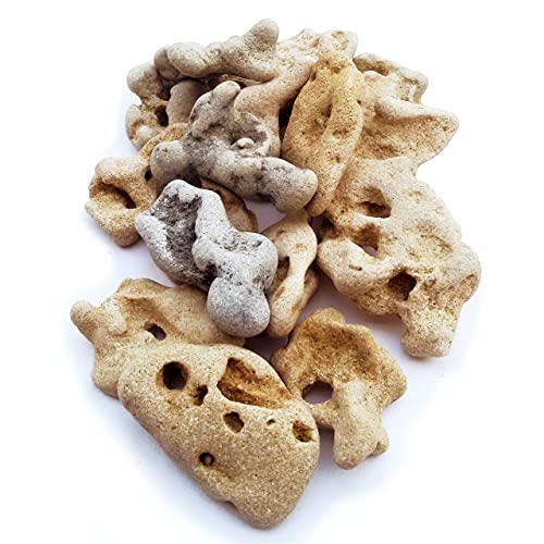 (5 pcs) Natural Hag Stones ~From the Mediterranean ~ Each Unique with natural hole, Healing Spiritual Hag Stone, Pendant, Holey, Magical, Adder Stone Witch Stone Fairies Stone Odin Stone
