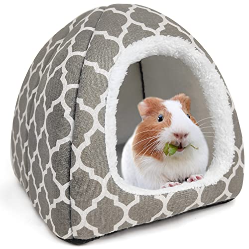 10 Best Small Animal Condos for All Your Furry Friends A Complete
