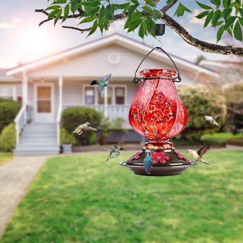 El Mejor Listado de Bebedero para colibri que Puedes Comprar On-line. 23 El Mejor Listado de Bebedero para colibri que Puedes Comprar On-line. 19