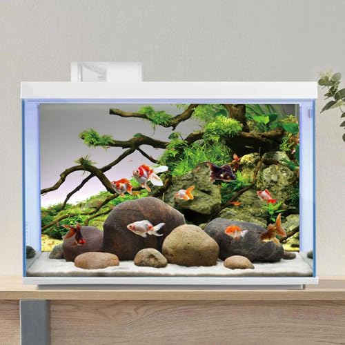 MIRRORANG 76x46cm Stones Branches Aquarium Background River Bed & Lake Aquarium Vinyl Background Aquatic Plant Fish Tank Background - Image 4