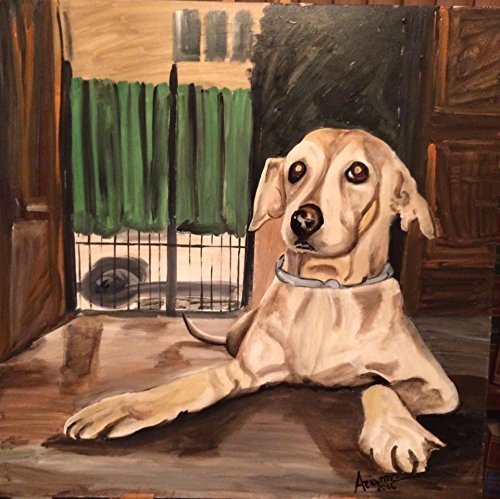 Ritratti dei vostri pelosetti.(cani, gatti e tutti...