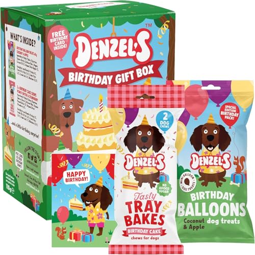 Denzels Dog Treats Mini Birthday Gift Box - Birthday Cake Chews with Peanut Butter & Strawberry + Balloon shaped Treats with Coconut & Apple - 110g