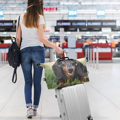 Large Travel Duffel Bag, Sitting Dachshund Sports Tote Gym Bag, Shoulder Weekender Overnight Bag for Women Men, Carry On Luggage with Toiletry Bags 7