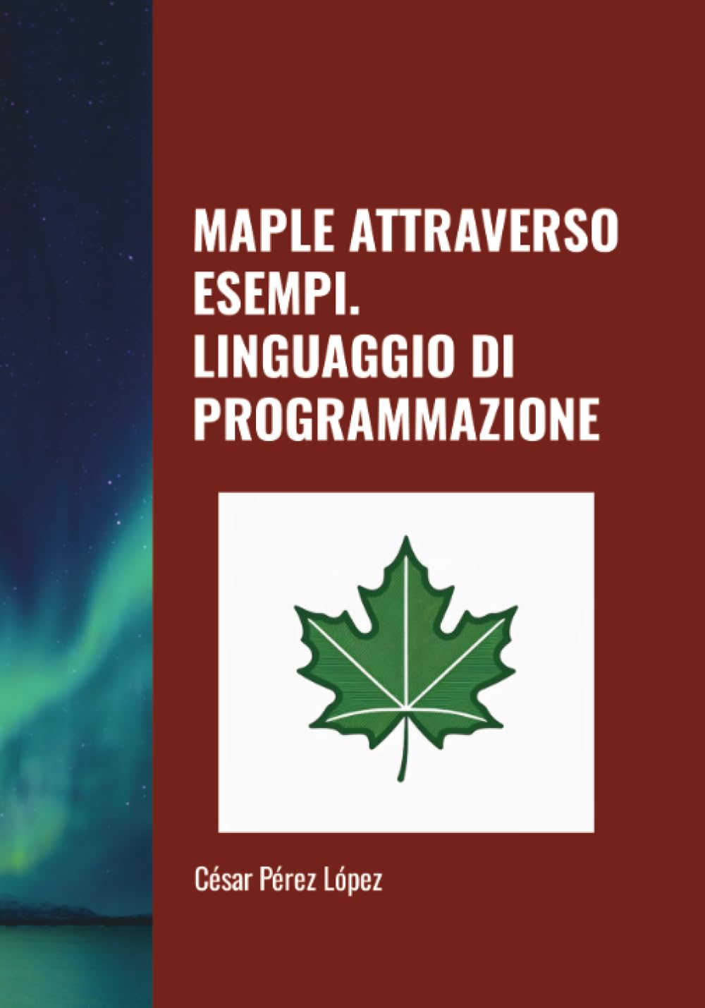 MAPLE ATTRAVERSO ESEMPI. LINGUAGGIO DI PROGRAMMAZIONE