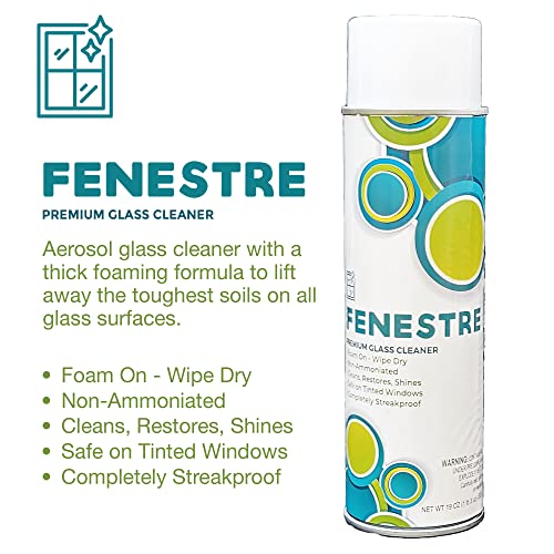 Jani-Source Fenestre Premium Foaming Glass Cleaner, 19 Oz Aerosol (Case Of 12) #TOP1