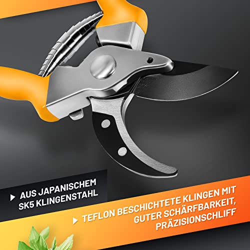 GRÜNTEK Tuinschaar fruitschaar specht 215 mm Bypass wijnschaar. Comfortabele boomplantenschaar met geldteruggarantie 90 dagen! - Afbeelding 3