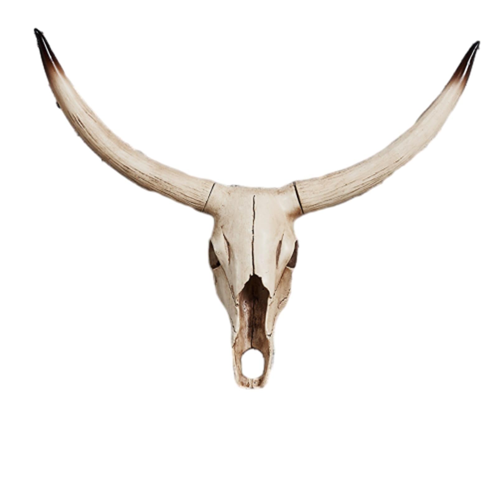 Placa de Pared de Resina con Forma de cráneo de Animal con Cuerno Largo, cráneo de Vaca, Adornos artesanales, decoración de cráneos de Vaca, Toro y Bisonte