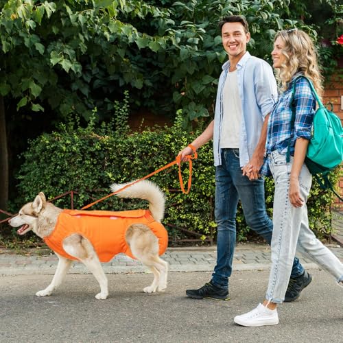 Harnais de levage pour chiens âgés avec sangle d'appui réglable - 3