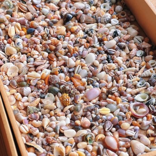 LumoLight?㝑?i VR~jLkRNV Ntgp tHgt[ ANAECAEg C̃CeA (1200y0.5`3cml߁z)