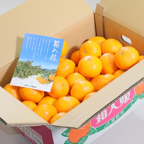 [\12/2ȍ~] ݂  mY 5kg 30-50 S-2LTCY Gi