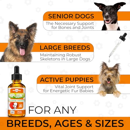 Dog Joint Supplement – Glucosamine Chondroitin for Dogs and Puppies – MSM in The Composition – Care for Joints, Muscles, & Ligaments – Bacon Flavor – 2 Oz