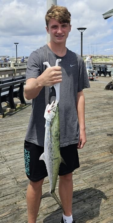 Opiniones y reviews de Cucharillas para sal - 5 favoritos. 30 Imagen adicional