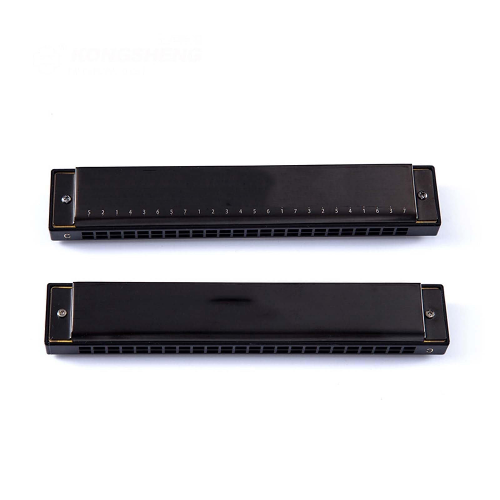 Mundharmonikas 24 Löcher Tremolo Mundharmonika Erwachsene Schüler Spielen Anfänger Mundharmonika (Color : Matte bk)