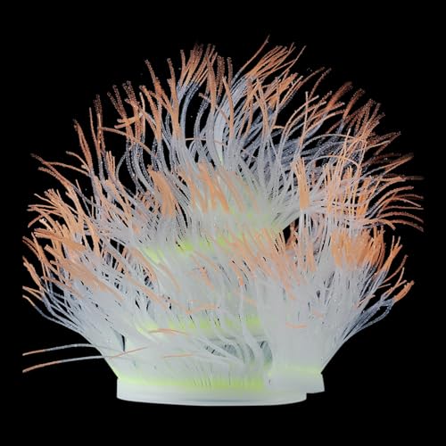 ّɃR[VRcoralreefs^Nybg̑Ɨp̏萅ٌi