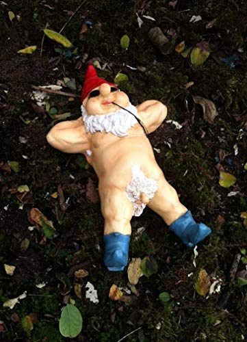 iapyx® Gartenzwerg Exhibitionist wetterfest, Porno Zwerg, Nudist FKK Garten-Zwerg liegend – Bild 5