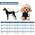 Dog Hoodie, Dog Clothes Sweater Dog Jumpsuit Fleece Sweatshirt Dog Outfit Dog Winter Clothes Cotton Puppy Hoodies for Small Medium Large Dogs Cats Apparel
