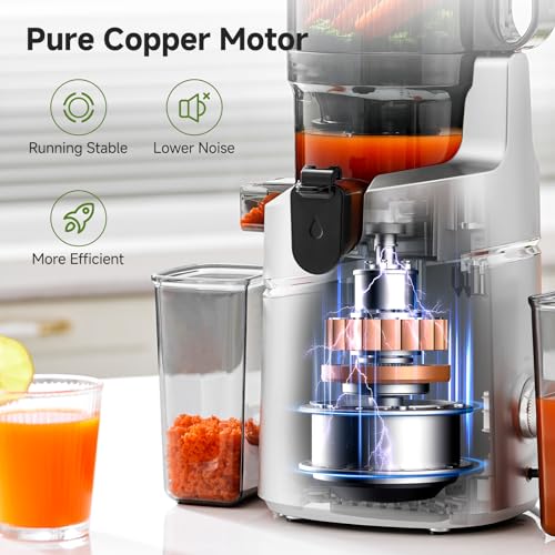 Image of AMZCHEF Cold Press Juicer with 5.8 inch Large Feed Chute, Slow Masticating Juicer for Whole Fruits & Vegetables, 3-Layer Strainer, Copper Motor, High Juice Yield, Easy to Clean, Silver