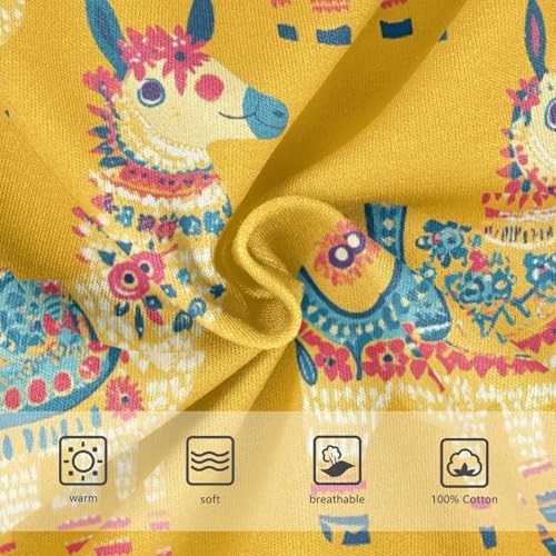 Cute Alpaca Toddler Boy's Underwear 2T 202c00303