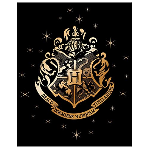 SaoTi Manta Coralina Harry Potter 120 x 150 CM, Escudo, Personajes, Diferentes Modelos y Colores (Escudo Fondo Negro)