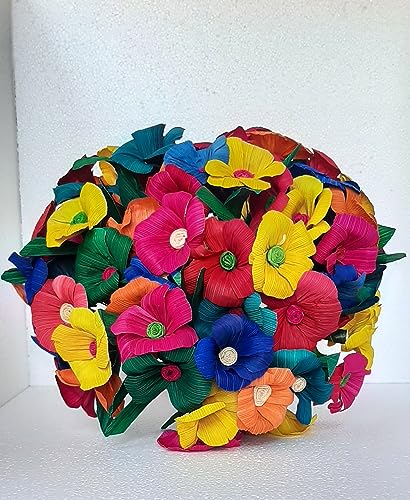 Probióticos, Imagen adicional