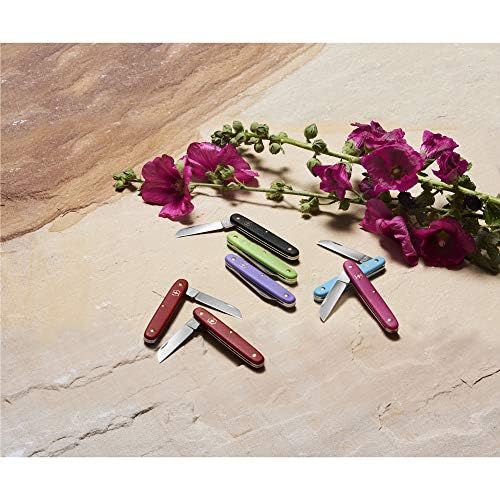 Amazon.co.jp: VICTORINOX(ビクトリノックス) フローリスト