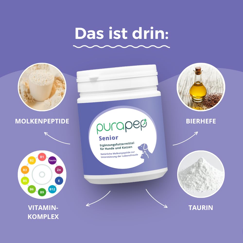 Senior Power – 5-Fach Nährstoffkomplex mit Molkenprotein, Omega-3, Taurin & Vitaminen für Hunde & Katzen Senioren – Muskelaufbau & Fitness-Booster im Alter – Pulver | 280g