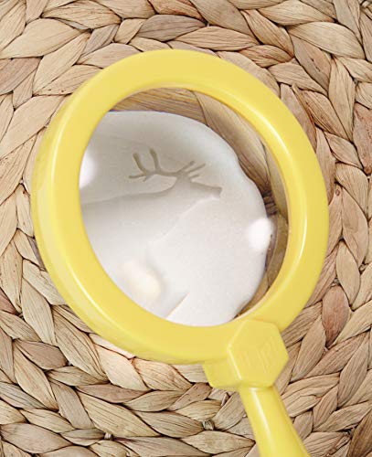 Investigate - Polar Footprints