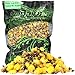 Angel-Berger Magic Baits Ready Carp Seeds 1 Kg Particle Karpfen Köder (Particle Mix Scopex)