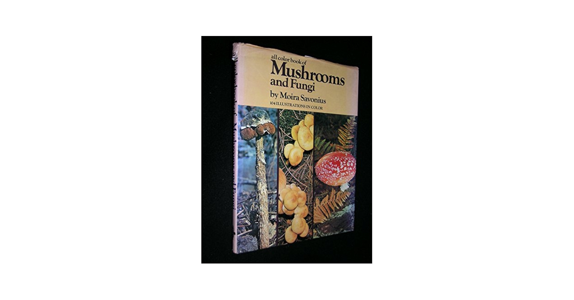 洋書 Mushrooms Mushrooms: A Folding Pocket Guide to Familiar North American