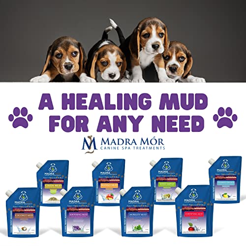 Image of Worldwide Nutrition Bundle: Madra Mor Soothing Mud - Dog Essentials Mud Bath, Dog Grooming, Dry Skin for Dogs Treatment, Dog Coat Skin Care Products - 10oz Pouch & Multi-Purpose Key Chain