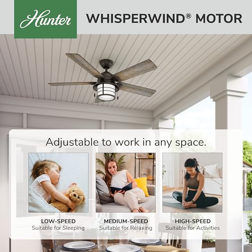 Image of Hunter Key Biscayne, Outdoor or Indoor, Ceiling Fan, 54 inch, Onyx Bengal