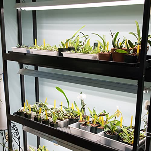 Active Grow Integrated Dual T8 4Ft Led Grow Light - For Indoor Plants, Microgreens, Veg & Bloom - 38W T8/T12 Led Grow Light - Sun White Full Spectrum High Cri 95 - Linkable - 120-277V #TOP4