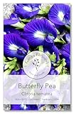 Gaea's Blessing Seeds - Butterfly Pea Seeds - Asian Pigeonwings - Non-GMO, Open-Pollianted, and Untreated - Includes Easy to Follow Planting Instructions (Clitoria ternatea)