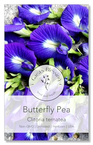 Gaeas Blessing Seeds - Butterfly Pea Seeds - Asian Pigeonwings - Non-GMO Open-Pollianted and Untreated - Includes Easy to Follow Planting Instructions (Clitoria ternatea)