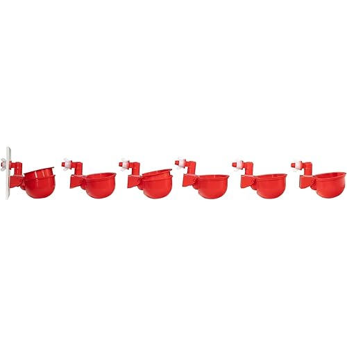 Chicken Water Cup Waterer Kit for Poultry - Pack of 6 + One Extra for Free (Total of 7)