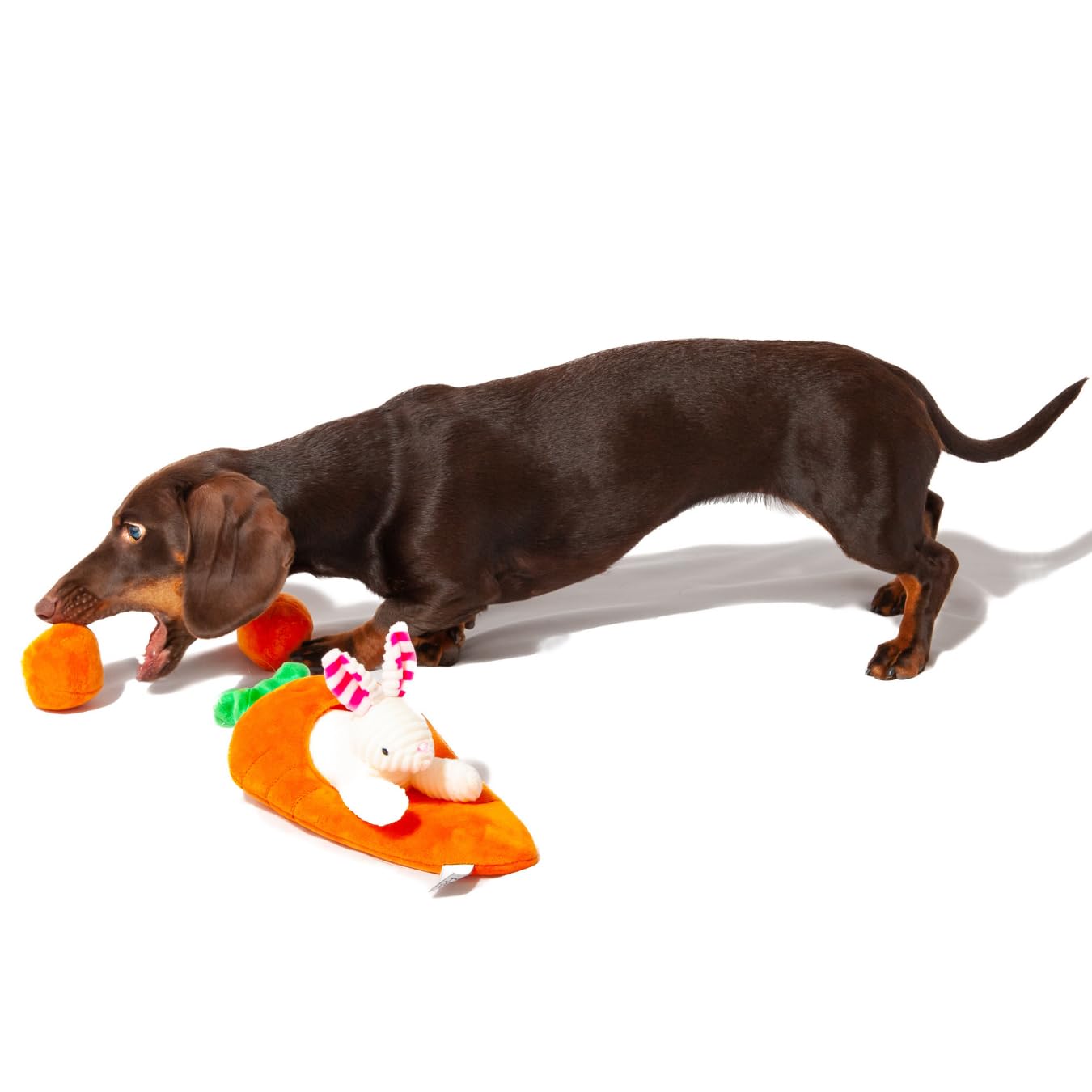 Lapin de Paques a remonter, Carottes, 6 pièces I Jouets de Course I pour Paques Enfant I