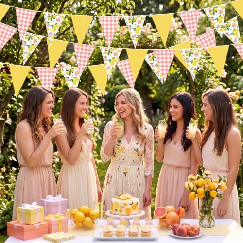Image of Faccito 5 Pcs Lemon Pink Gingham Pennant Banners Summer Wedding Decor