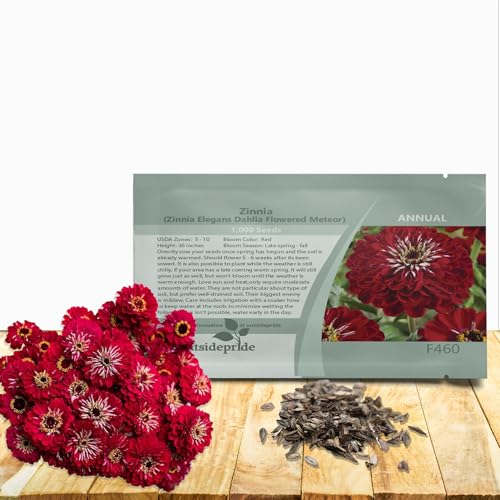 Outsidepride Dahlia Red Meteor Zinnia Seeds - 2000 Pieces Annual, Heat & Drought Tolerant Flower Seeds for Planting w/Vibrant Blooms for Pollinator Gardens & Floral Arrangements