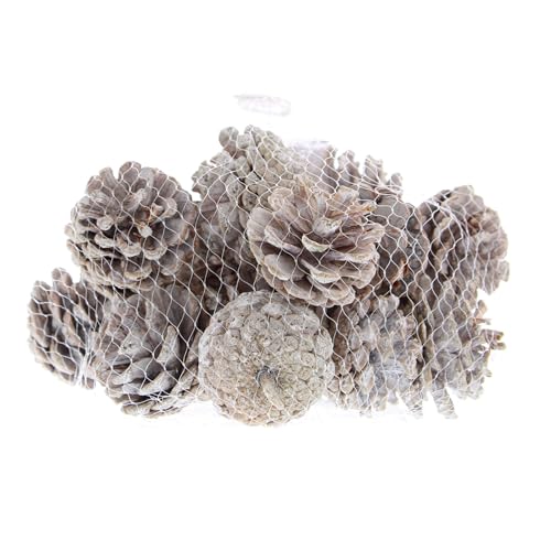 Festive Productions Tannenzapfen Dekoration - Grau Farbe - 200 Gramm -...