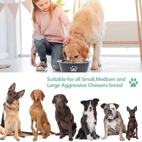 Hundenapf Edelstahl, 3 Stück Hund Napf Futternapf Wassernapf Hundeschüssel Fressnapf Set mit Rutschfestem Gummi für Kleine Hunde Katzen (860ml)