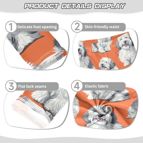 English Sheepdog Girls Leggings,Workout Leggings for Girls Toddler Athletic Leggings Size for 3-10T3