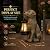 Fashionoda Garden Statue Dog Figurine Decor – Outdoor Decoration with Solar Lantern for Garden Yard Lawn Home Decor Outside : Fathers Day Memorial Gifts