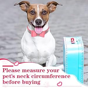 4 Pcs Pink Dog Collar Spiked Studded Dog Collars Pearls Dog Necklace Dog Collar with Rhinestone Bow Knot Crystal Diamond Colorful Flower Bling Girl Dog Cat Collars for Dogs(Cute Style,Small)