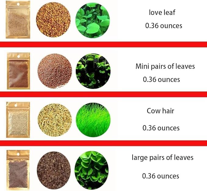 Aquatic Plant Seeds for Live Aquarium Plants, 4 Types Fast-Growing Aquatic Plants Seeds, High Germination Rate Live Plants for Aquarium, Fish Tank Landscaping Aquatic Weed Seeds — view 3