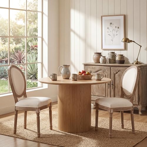 Polar Aurora Dining Chairs Set