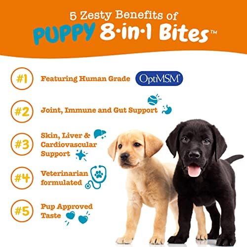 How Much Does It Cost For A Dog Check Up