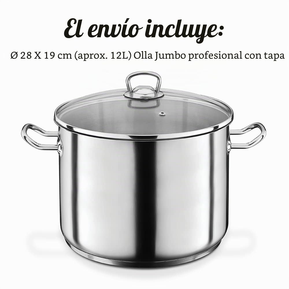 GSW 643450 - Olla grande profesional con tapa de cristal 28 x 19 cm / aprox. 12,0 L, de acero inoxidable, plateada, 42 x 29,5 x 20,5 cm, 2 unidades