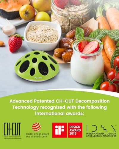 Purriko Fridge Deodorizer,Last up to 10 Years,Refrigerator Odor Eliminator,Fridge Smell Eliminator,More Effective than Baking Soda and Bamboo Charcoal Air Purifying Bags,Green